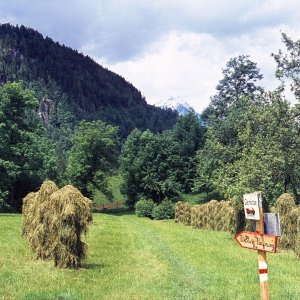 Spaziergang vom Gleinkersee zum Pießling-Ursprung