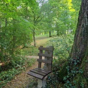 Parkbank für Leute, die in Ruhe gelassen werden möchten