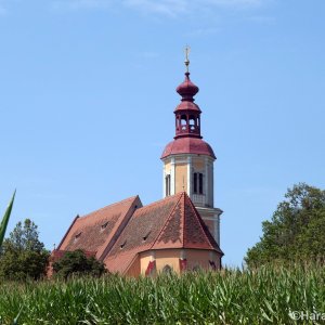 Maria Lebing