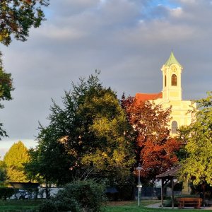 Pfarrkirche Zur Unbefleckten Empfängnis. Wimpassing an der Leitha