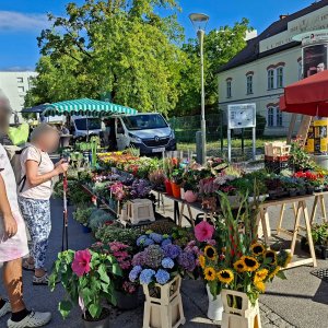 Linz, Südbahnhofmarkt