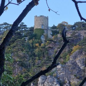 Schwarzer Turm in Mödling