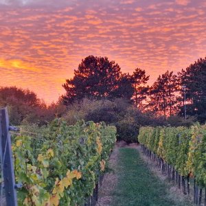 Abendrot in Brunn am Gebirge