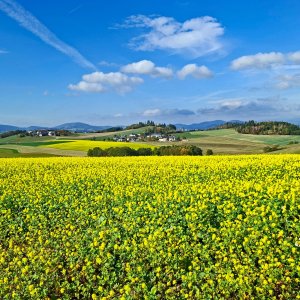 Altenfelden