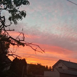 Sonnenuntergangim Oktober