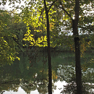 An der Traun