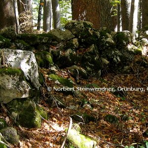 Bergbau oder Hirschbrunft, das ist hier die Frage ...