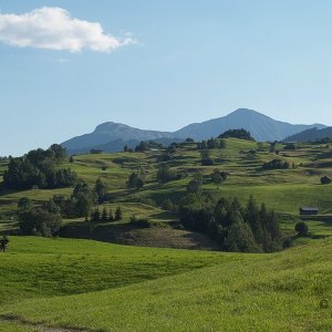 Bergwiesen zwischen Fiss und Ladis