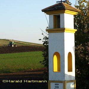 Heuschreckenkreuz