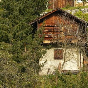 Bienenhaus Faggen