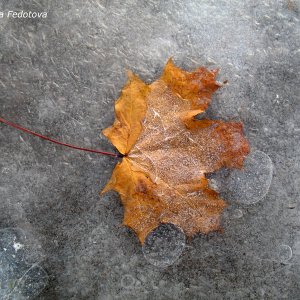 Begegnung von Herbst und Winter