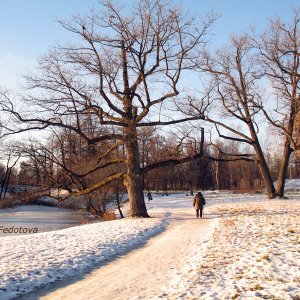 Park in Puschkin