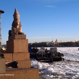 Sphinx in Sankt-Petersburg