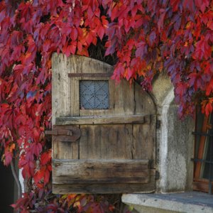 Holzfenster Kloster Neustift