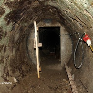 Halltal König Max Stollen