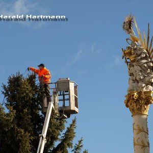 Christbaum
