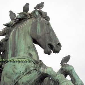 Tegethoffdenkmal Detail