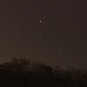 Orion