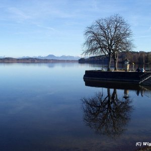 am Waginger See