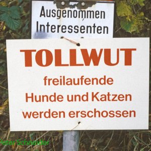 Ausgenommen Interessenten