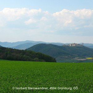 Stift Göttweig von der Kapelle Maria Ellend