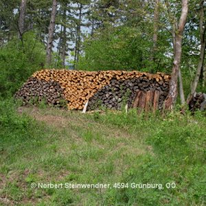 Bunter Holzstoss
