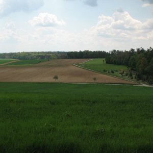 Rotes Kreuz zwischen Theyern und Höbenbach