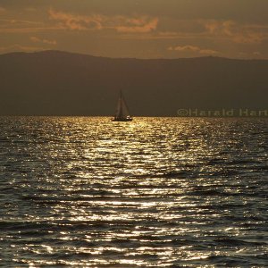 Abend am Neusiedlersee 4/5