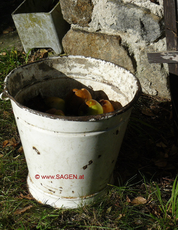 Äpfel in Oberösterreich