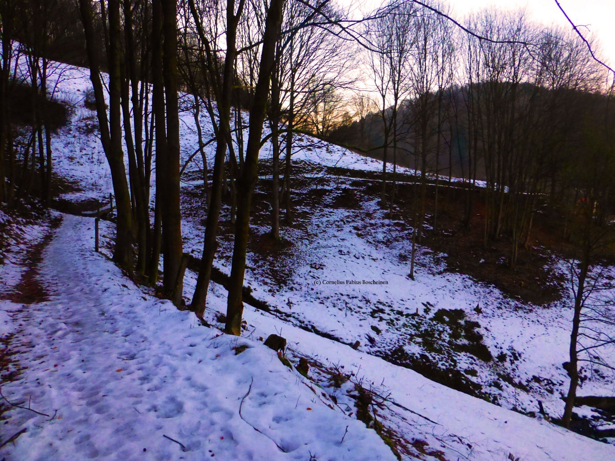 abendlicher Rückweg von der Lutherbuche in Stolberg.