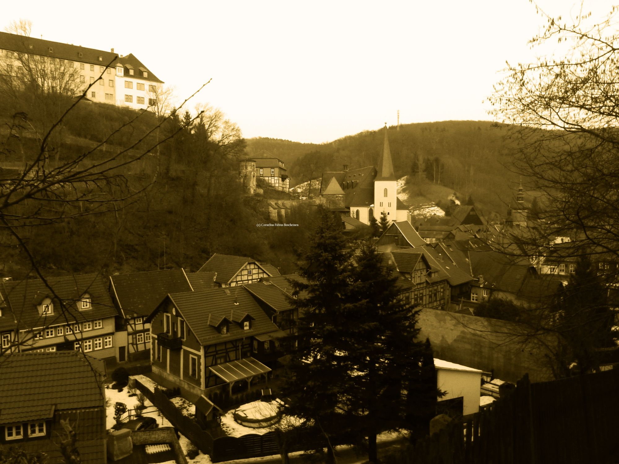 abendlicher Rückweg von der Lutherbuche in Stolberg.