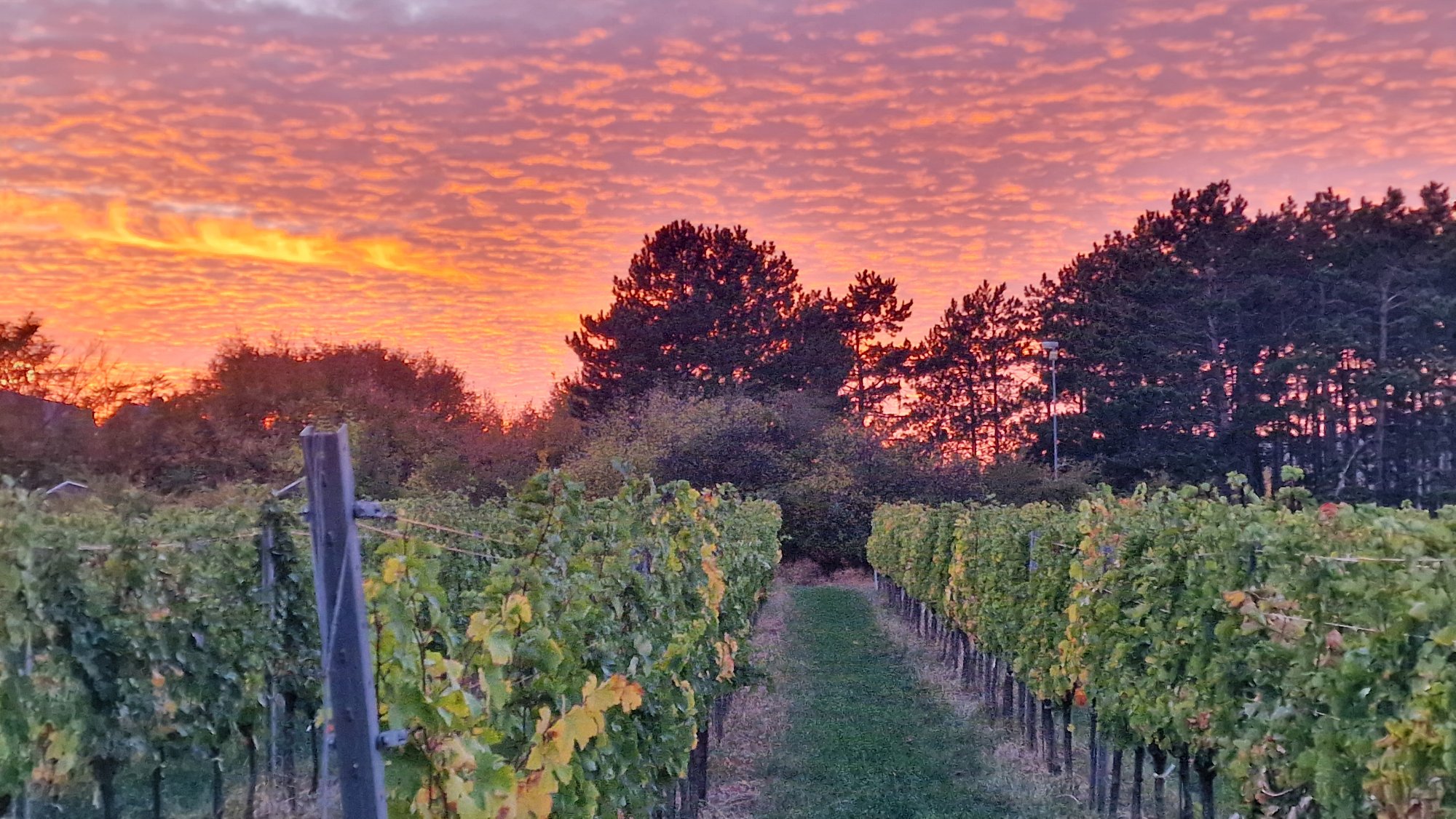 Abendrot in Brunn am Gebirge