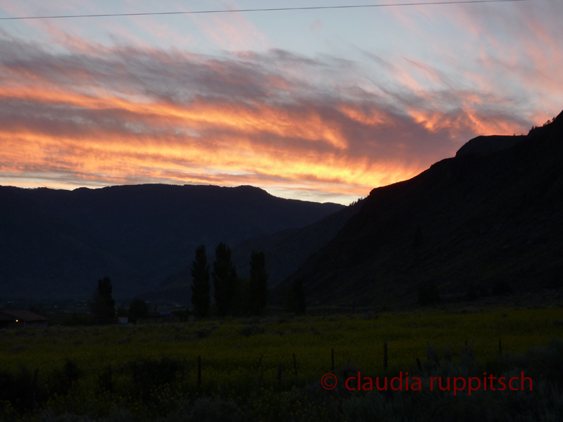 Abendstimmung im Blind Creek Indian Reserve (BC, Canada)