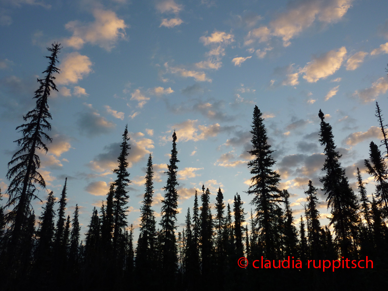 Abendstimmung im Yukon, Canada