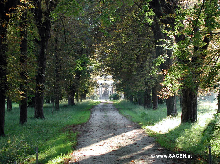 Allee Schloß Neu-Wartenburg