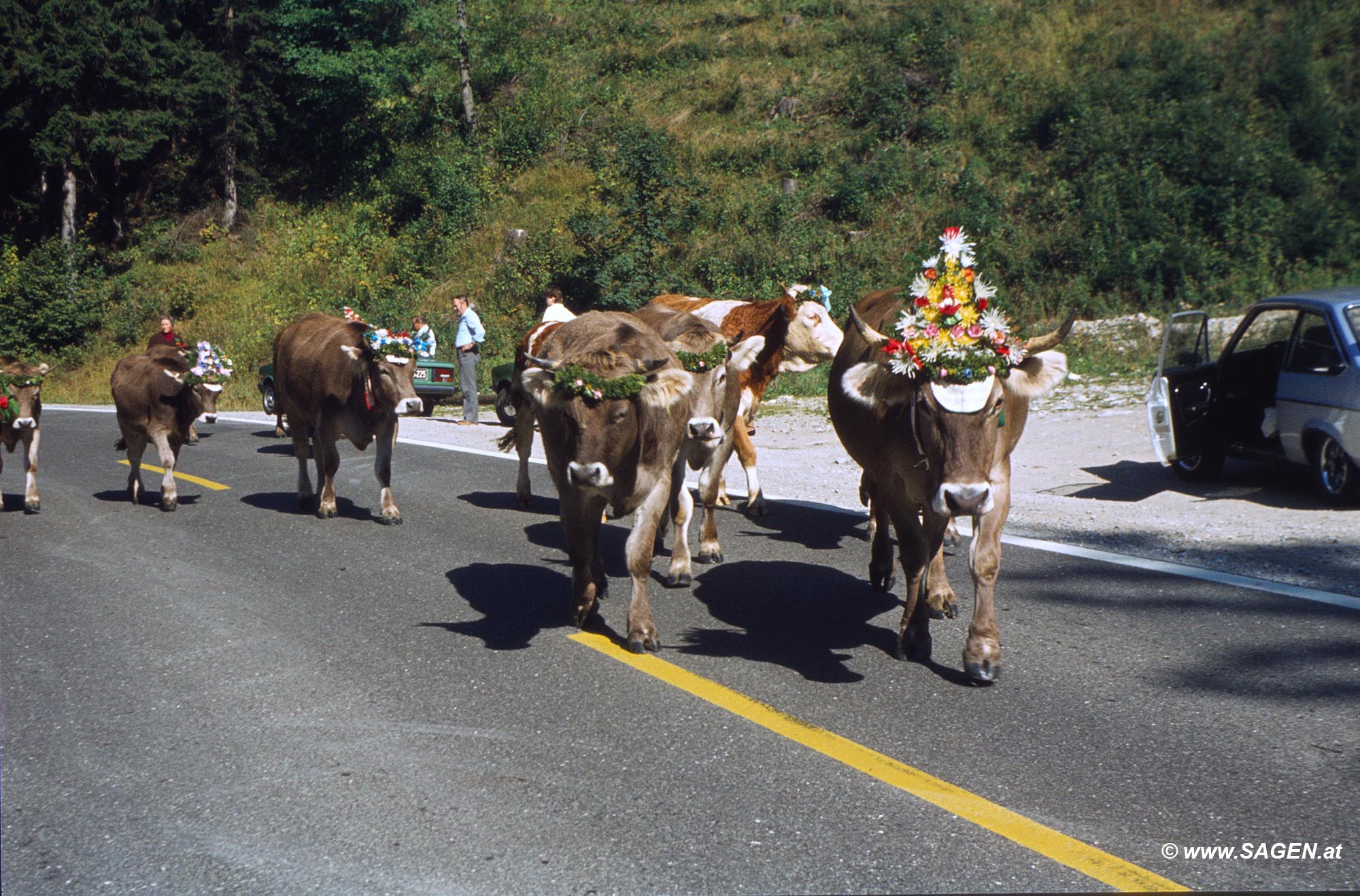 Almabtrieb