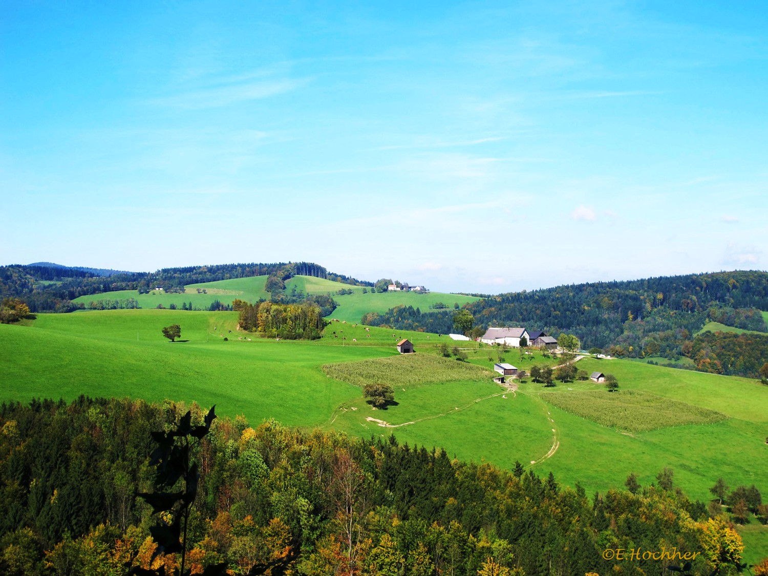 Almen im Wienerwald