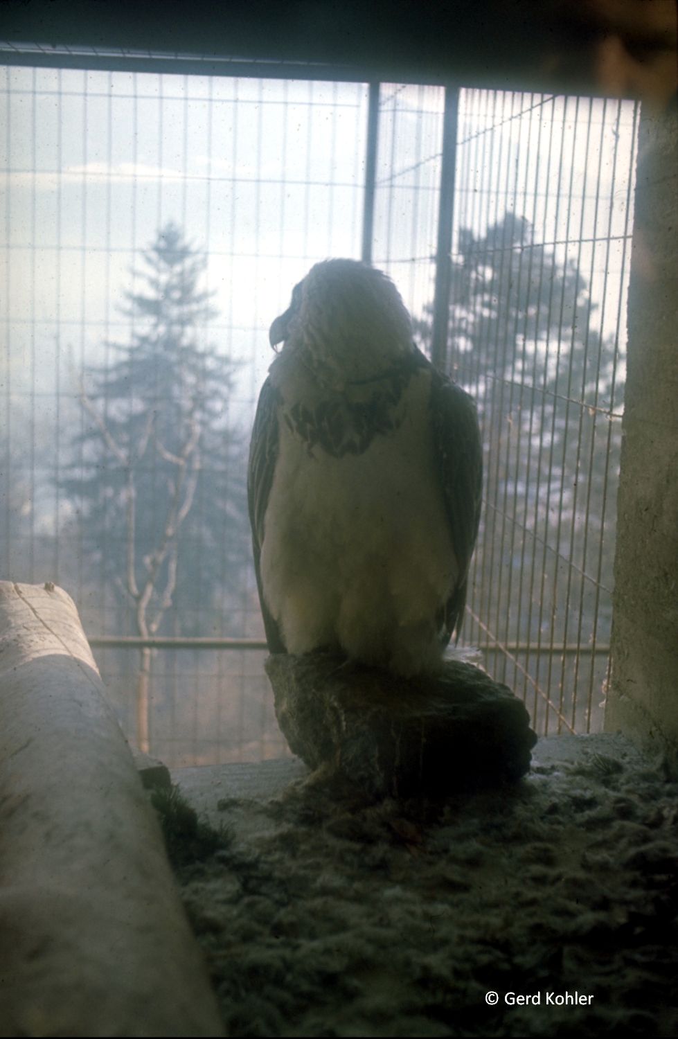 Alpenzoo, Innsbruck