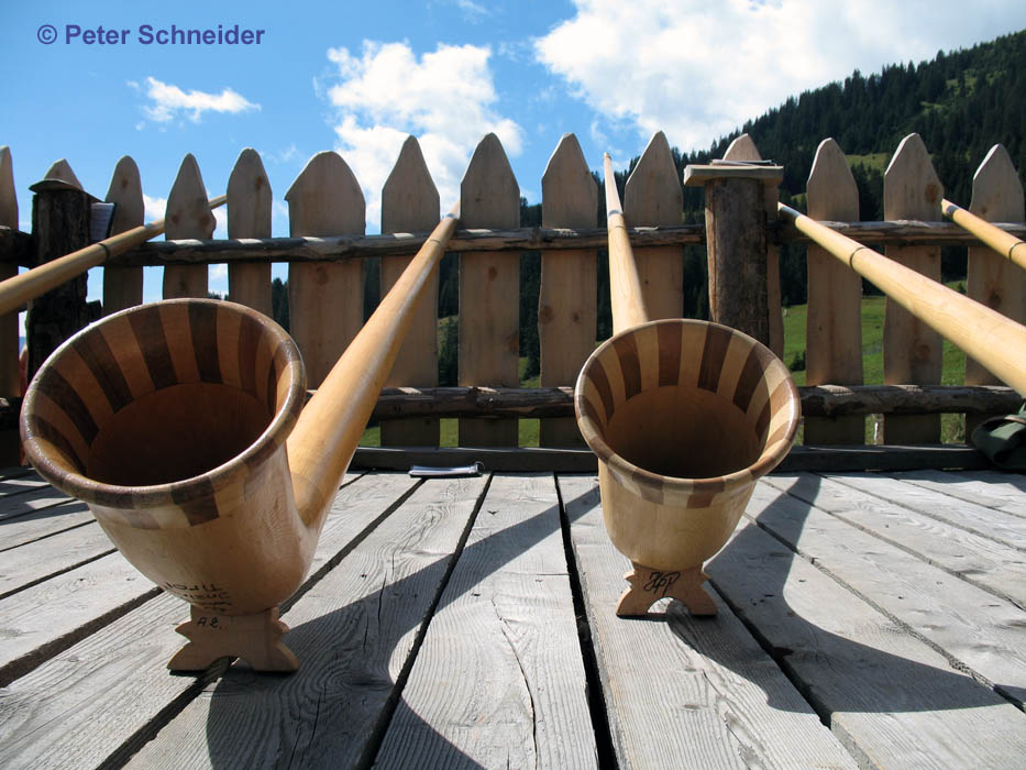 Alphorn