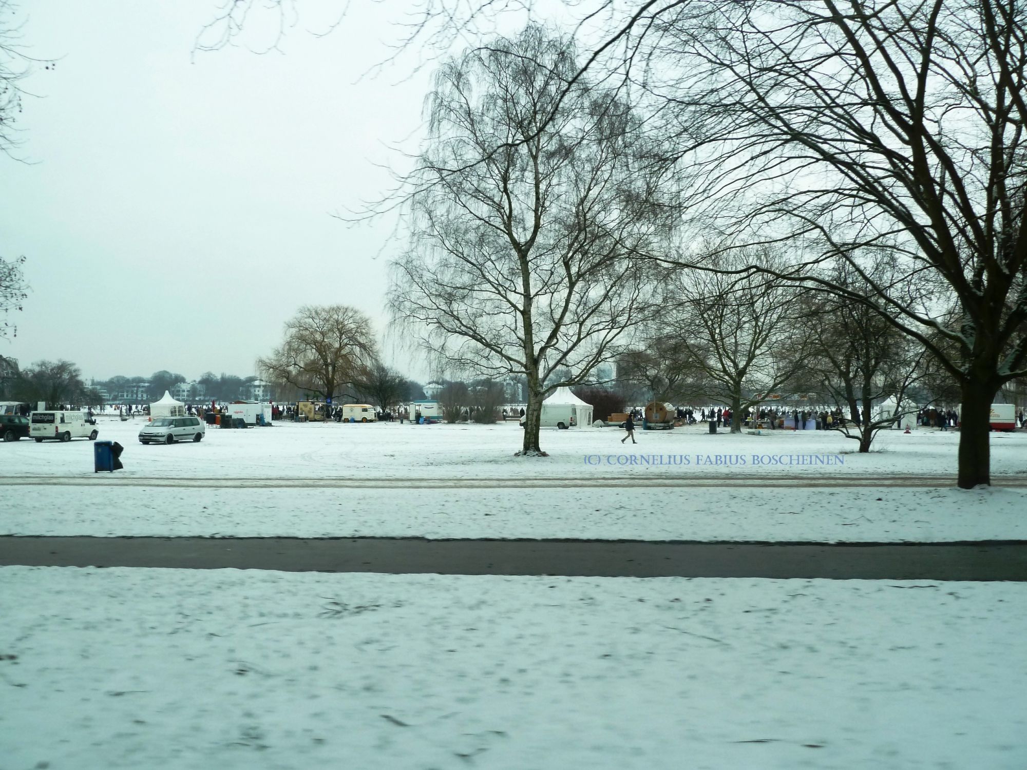 Alstervergnügen im Winter 2012. als die Menschen über die Alster spazierten