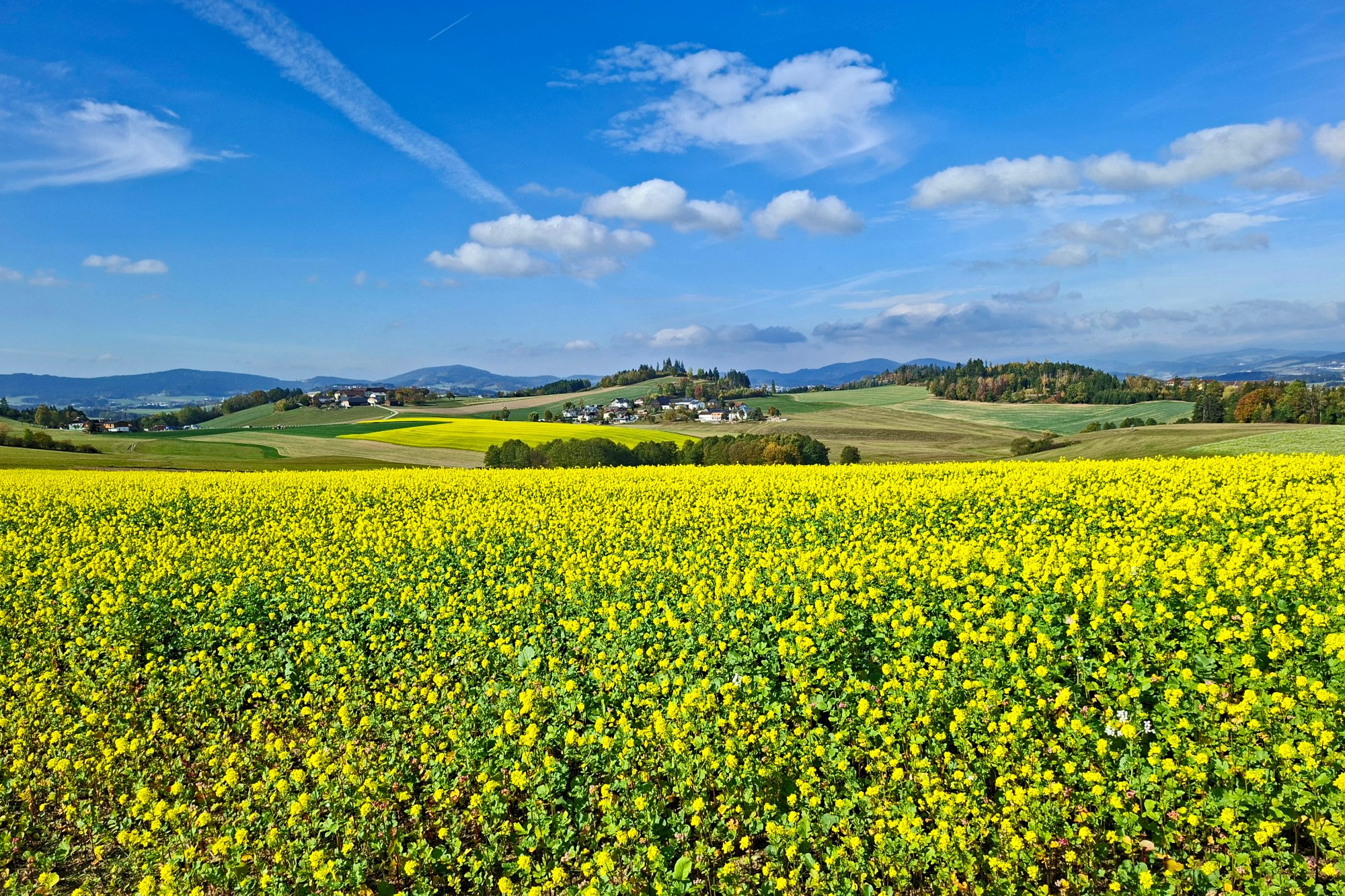 Altenfelden