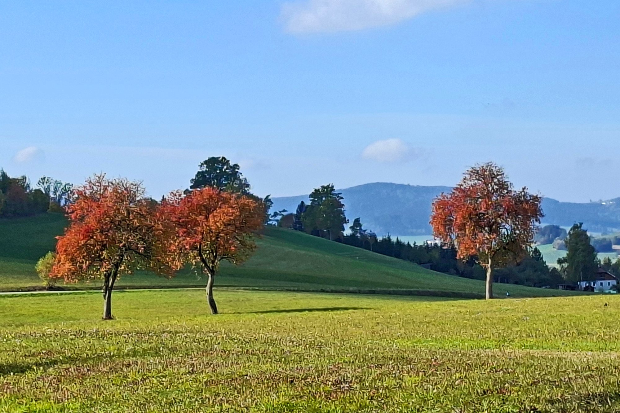 Altenfelden