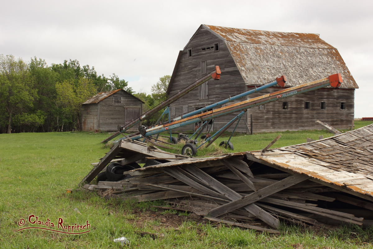 Alter Barn in Saskatchewan, Kanada