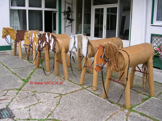 Ampflwang - Pferde