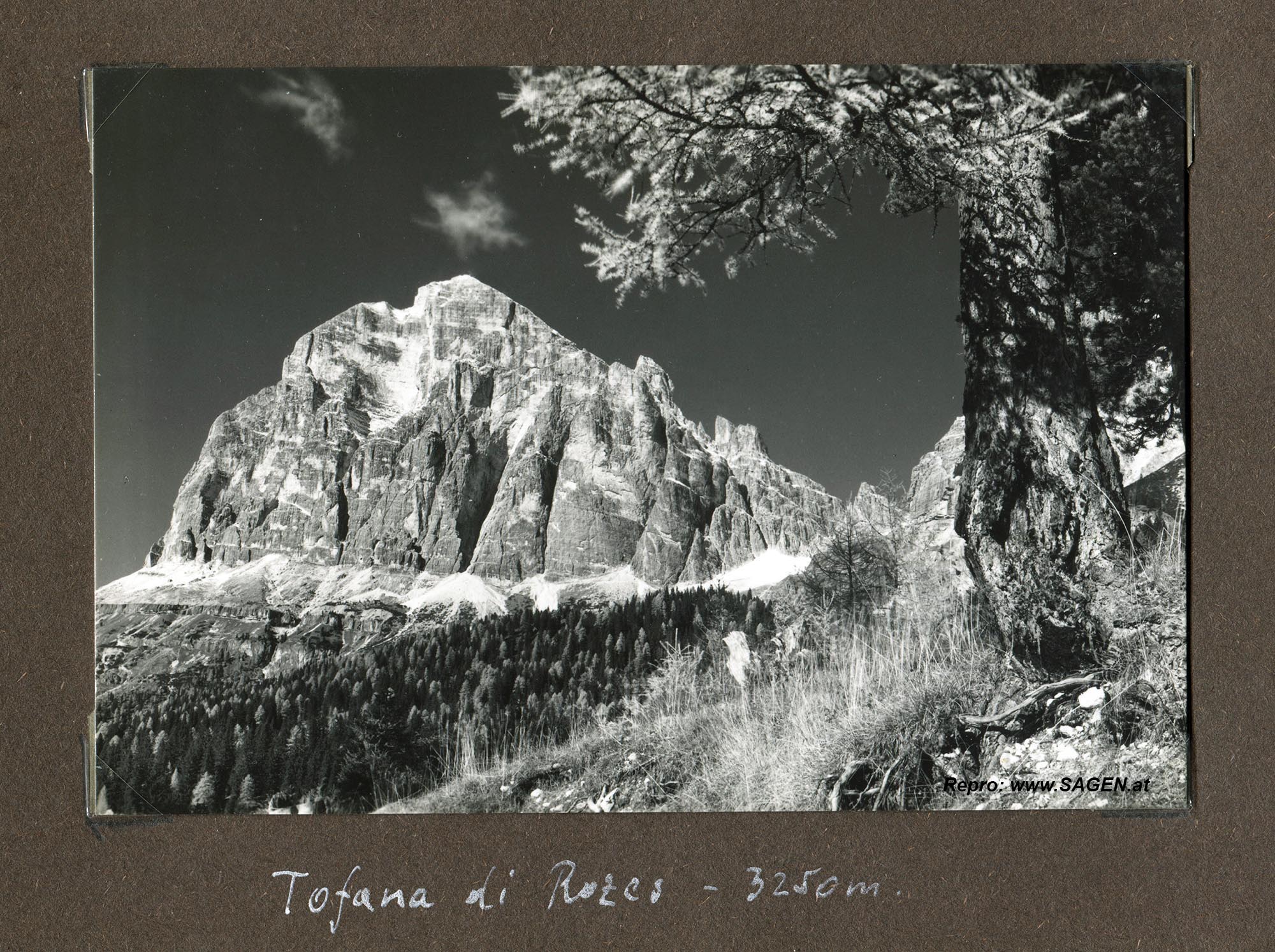 Ansichtskarten Urlaub Norditalien 1956