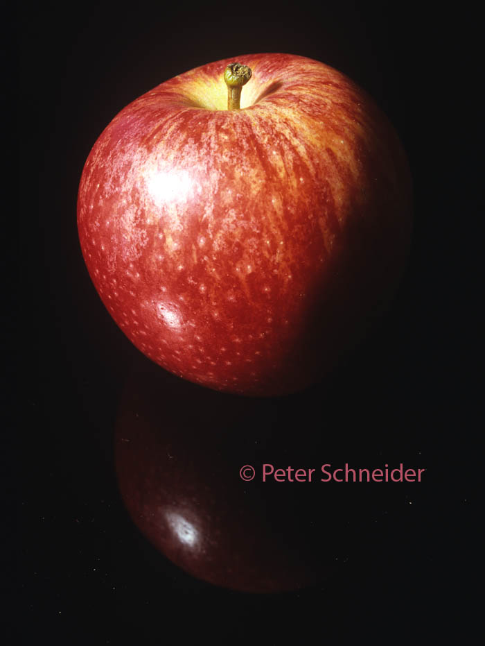 Apfel