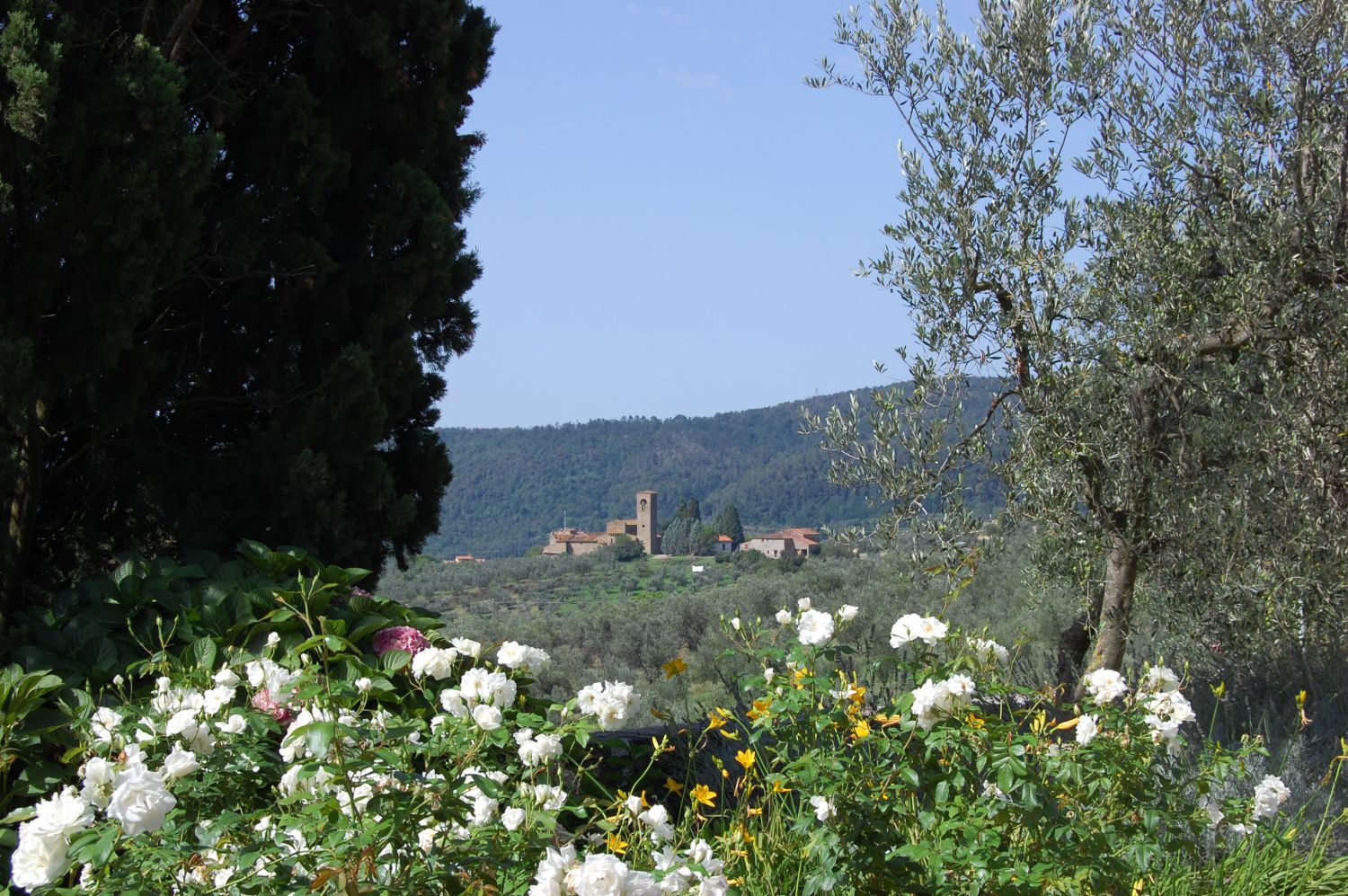 Artimino - Pieve (Pfarrkirche) di San Leonardo von der Villa Ferdinanda aus