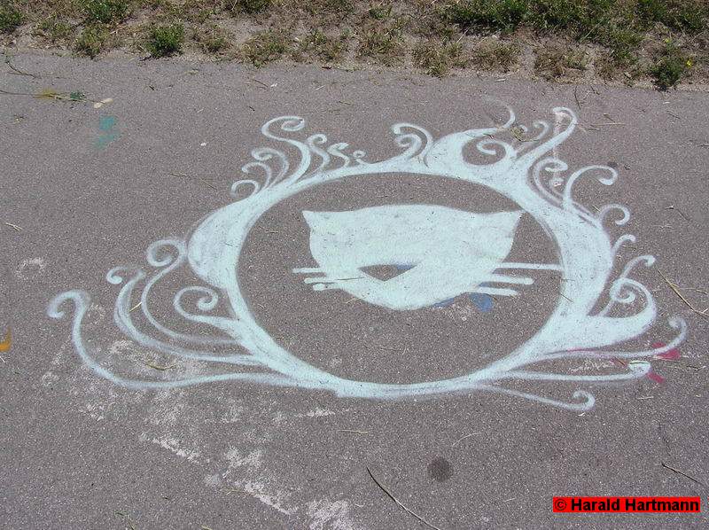 Asphaltkatze