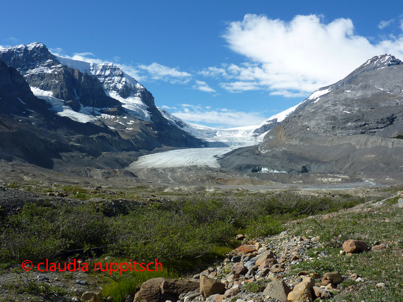 Athabasca Glacier, Columbia Icefield, Jasper Nationalpark, Canada