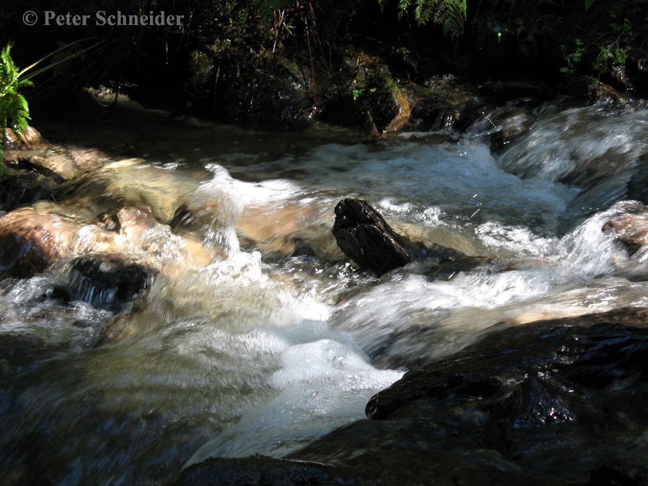 Auf dem Weg